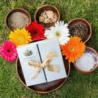 Shankara by Sri Sri Tattva Trial KIt | Grocsy