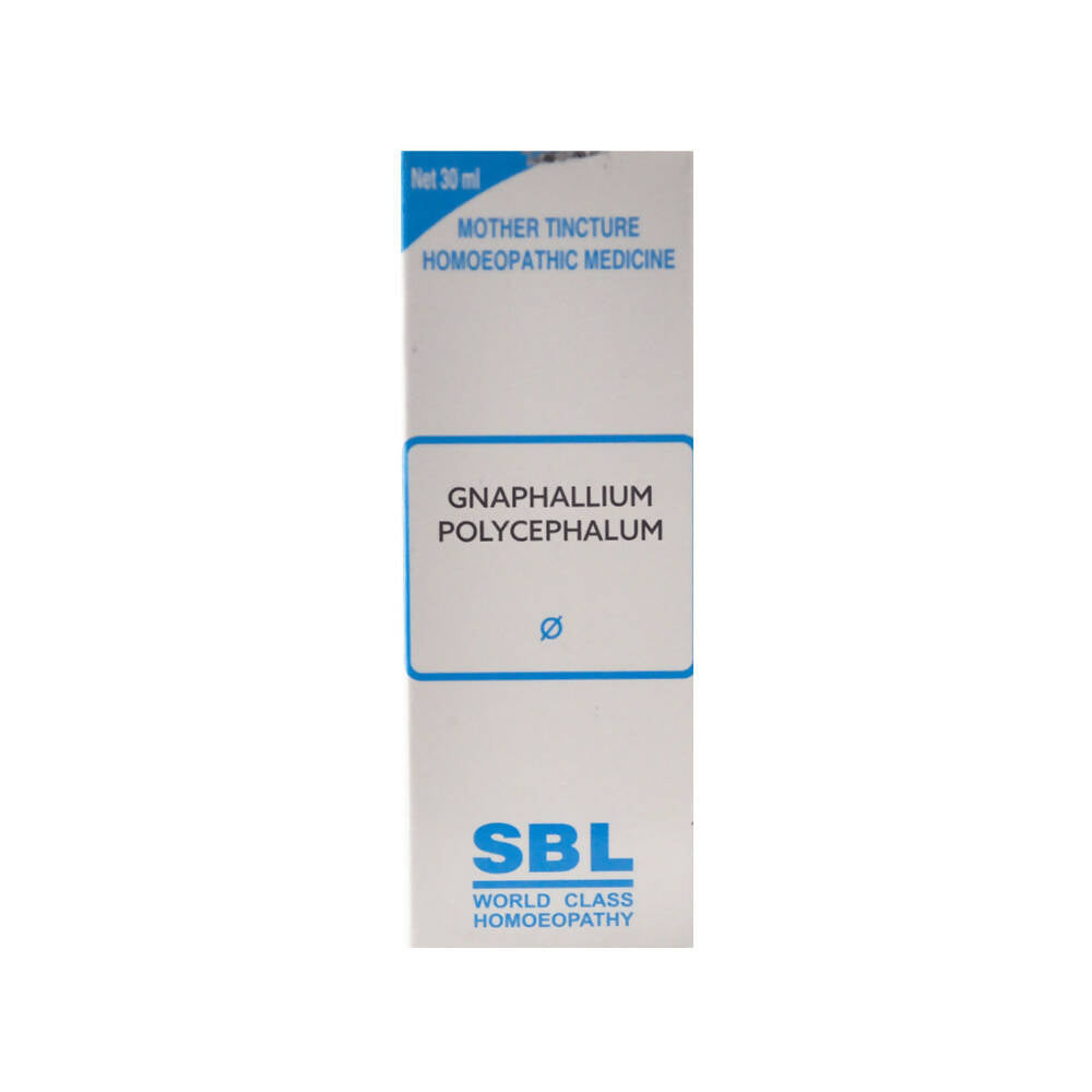 SBL Homeopathy Gnaphalium Polycephalum Mother Tincture Q | Grocsy