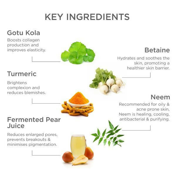 Forest Essentials Balancing Night Cream with Gotu Kola, Neem & Pear Juice Ferment | Grocsy