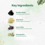 Dr. Vaidya's SJ Plus Capsules | Grocsy