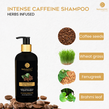 Prakruth Care Premium Herbal Intense Caffeine Shampoo | Grocsy