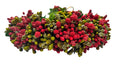 Green & Red Pollens Bridal Hair Gajra | Grocsy