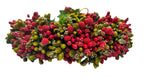 Green & Red Pollens Bridal Hair Gajra | Grocsy