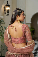 Aastha Fashion Rust Butterfly Net Tone To Tone Cotton Thread Work And Sequence Work Embroidery Wedding Wear Lehenga Choli | Grocsy