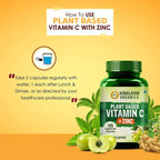 Himalayan Organics Plant Based Vitamin C + Zinc Double Immune Support Vegetarian Capsules | Grocsy