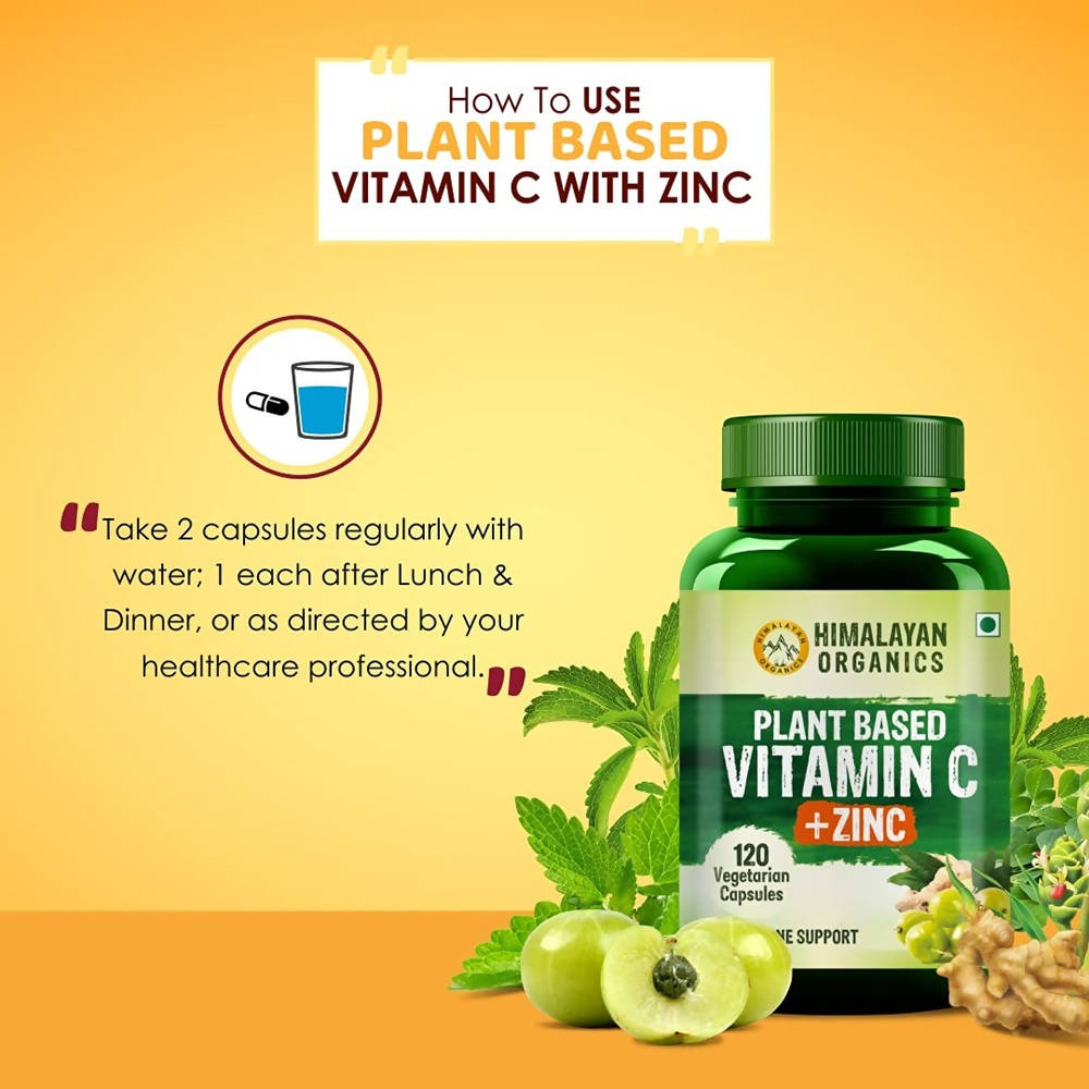 Himalayan Organics Plant Based Vitamin C + Zinc Double Immune Support Vegetarian Capsules | Grocsy