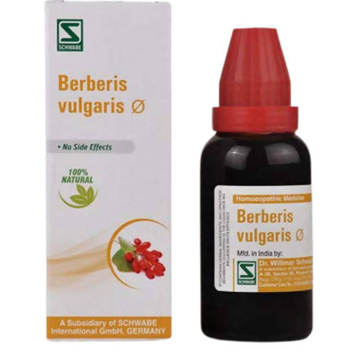 Dr. Willmar Schwabe India Berberis vulgaris Mother Tincture Q | Grocsy