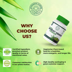WHEAT-GRASS-POW-100-GM-7