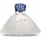 Asmaani Baby Girl White and Blue Full Length Dress (AS-DRESS-22050) | Grocsy