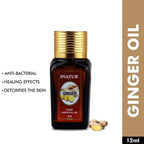 Inatur Ginger Pure Essential Oil | Grocsy