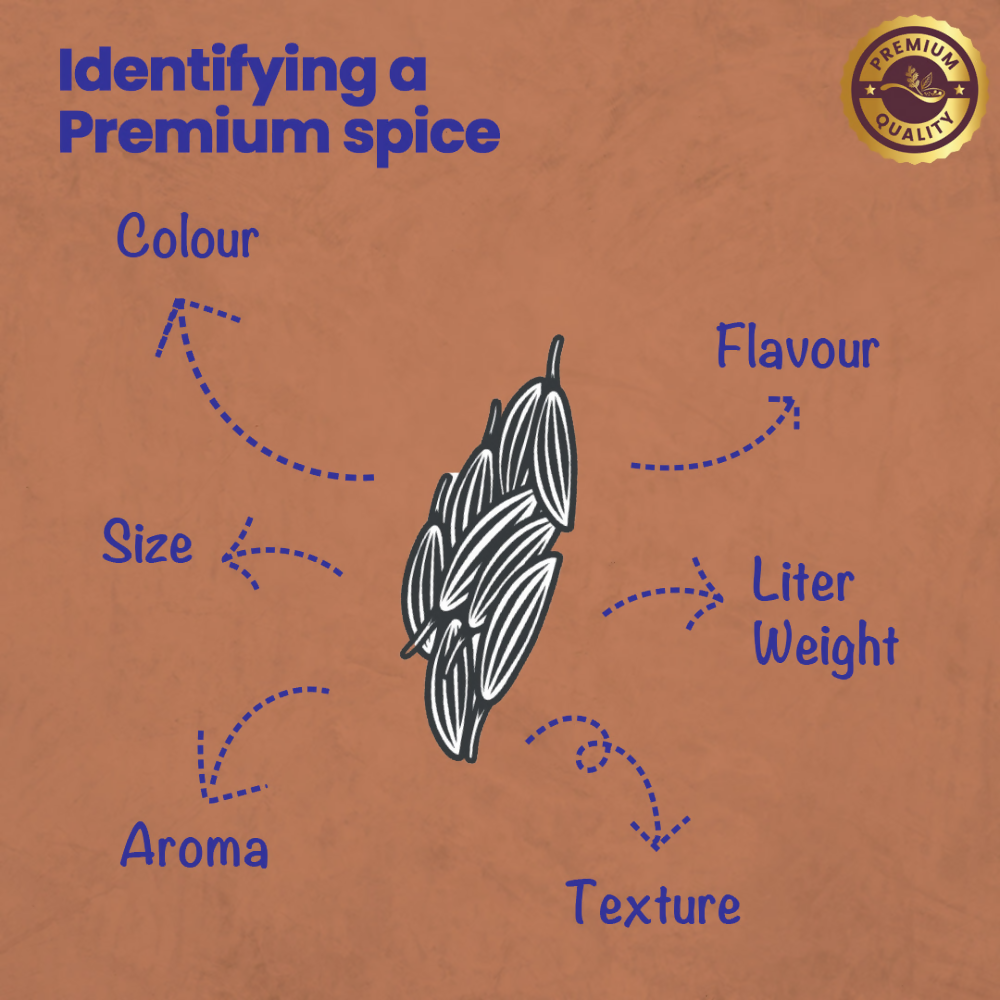 Crista Spices Cumin Powder | Grocsy