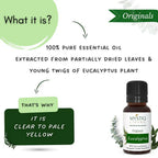 Mystiq Living Originals Eucalyptus Essential Oil | Grocsy