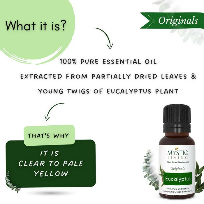 Mystiq Living Originals Eucalyptus Essential Oil | Grocsy