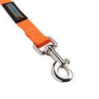 Waggety Dog Leash - Durable Orange Polyester, Length - 5Ft, Comfortable Grip, Stylish Pet Leash for Dogs | Grocsy