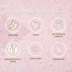 The Skin Diet Company Watermelon Hyaluronic + Salicylic Acid Face Wash | Grocsy