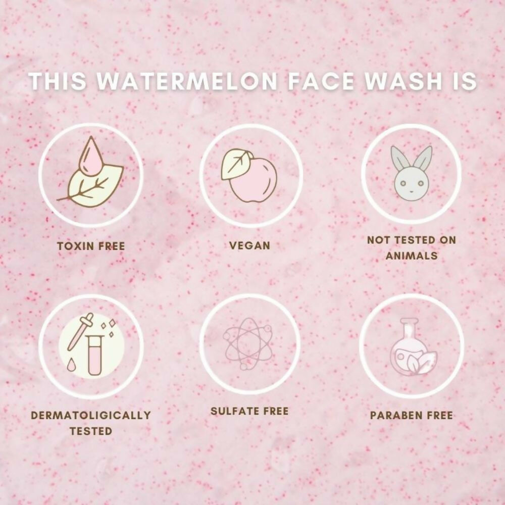 The Skin Diet Company Watermelon Hyaluronic + Salicylic Acid Face Wash | Grocsy