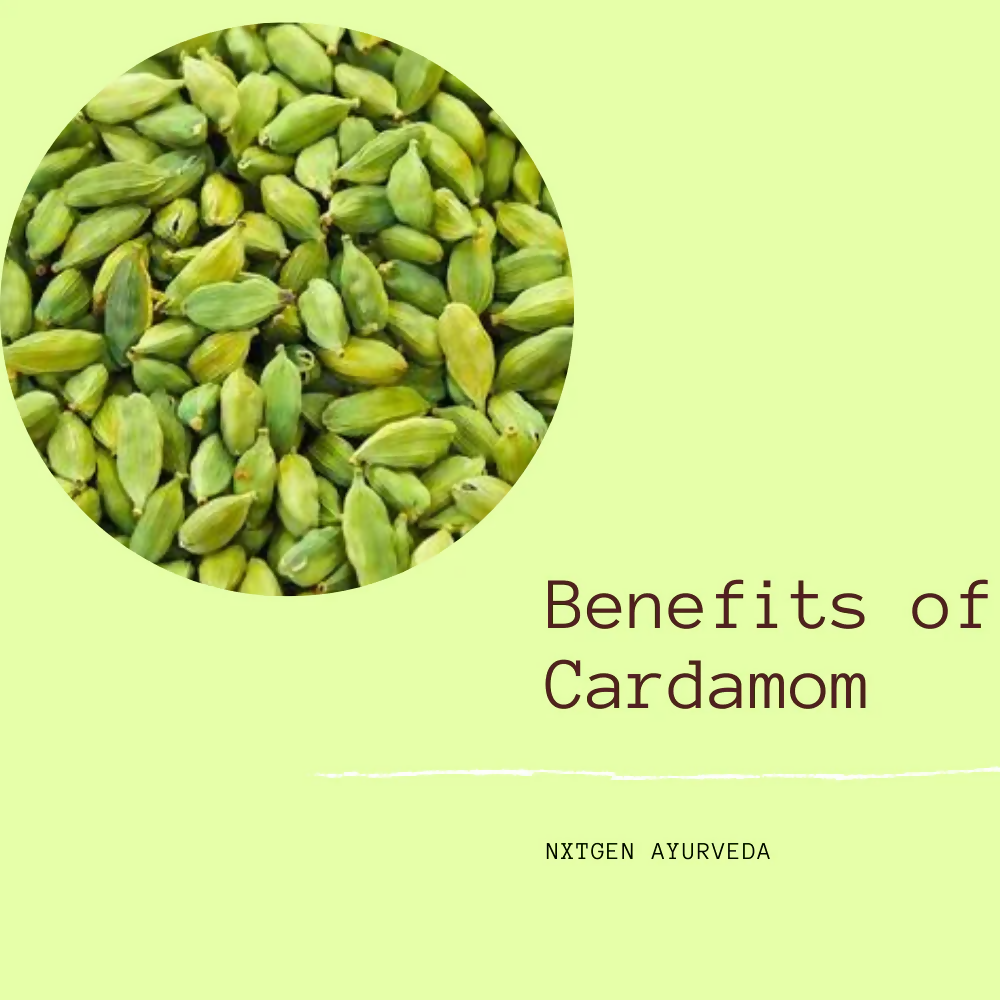 Nxtgen Ayurveda Elaichi (Cardamom) Bold | Grocsy