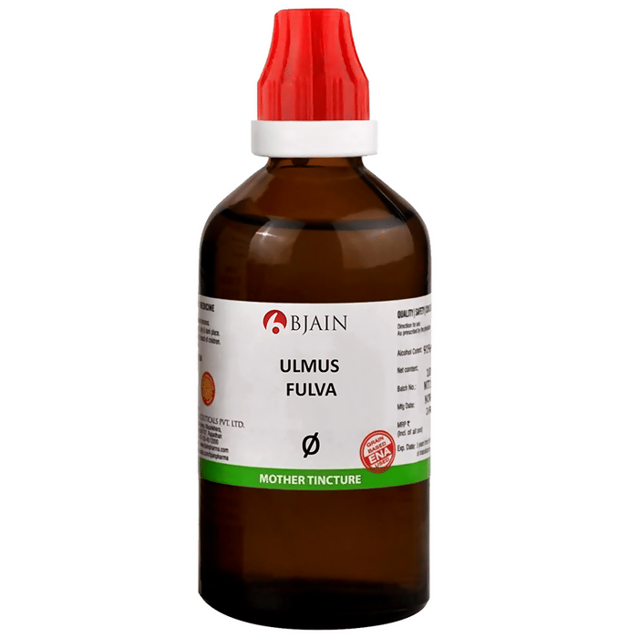 Bjain Homeopathy Ulmus Fulva Mother Tincture Q | Grocsy