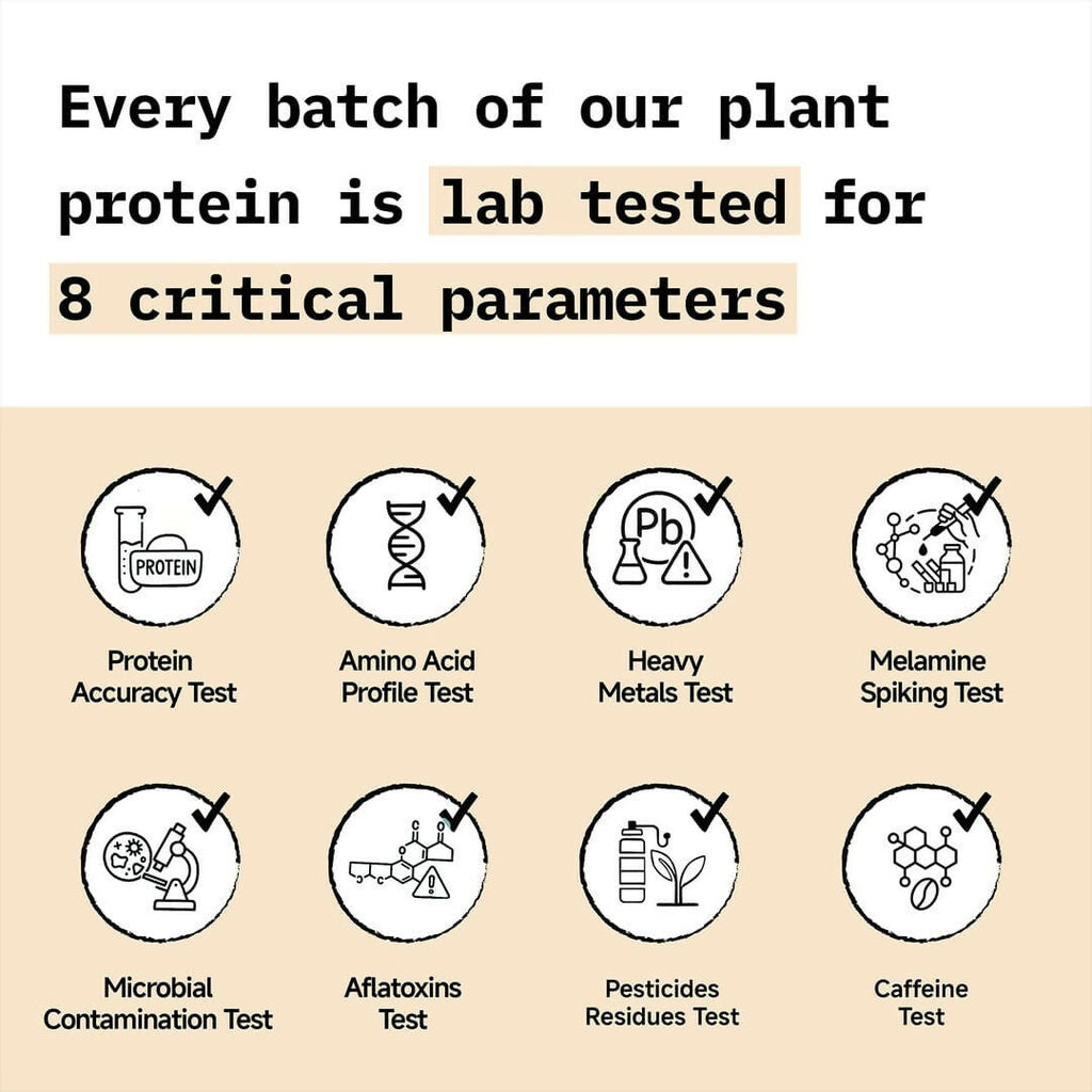 Only What's Needed 24g Plant Protein Powder - Coffee | Grocsy