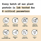 Only What's Needed 24g Plant Protein Powder - Coffee | Grocsy
