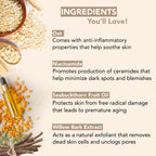 Botanic Hearth Oat & Niacinamide Cleanser Face Wash Enriched with Seabuckthorn Fruit Oil, Willow Bark Extract | Grocsy