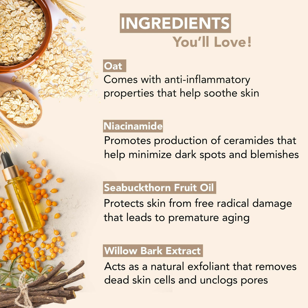Botanic Hearth Oat & Niacinamide Cleanser Face Wash Enriched with Seabuckthorn Fruit Oil, Willow Bark Extract | Grocsy