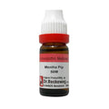 Dr. Reckeweg Mentha Pip Dilution | Grocsy