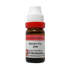 Dr. Reckeweg Mentha Pip Dilution | Grocsy