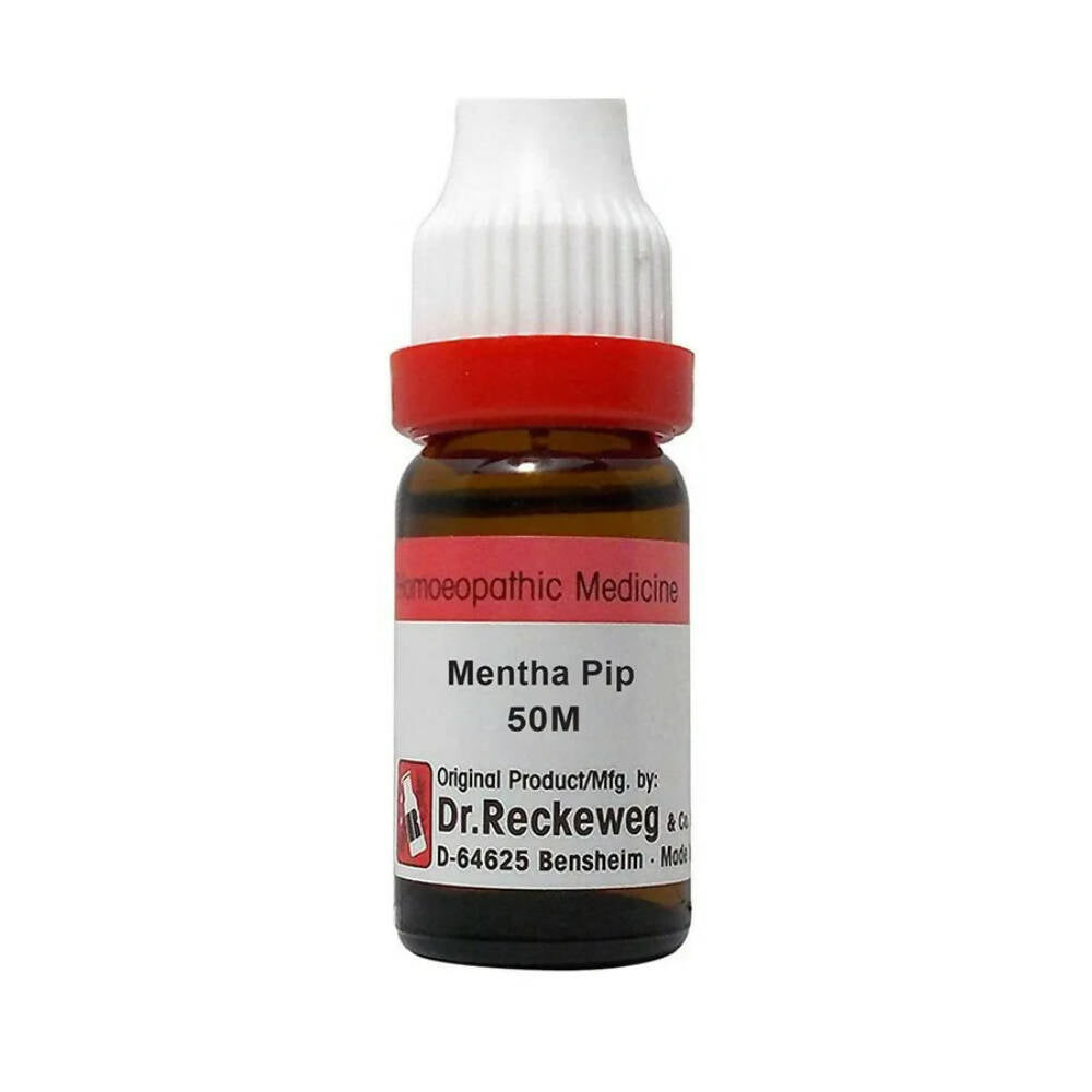 Dr. Reckeweg Mentha Pip Dilution | Grocsy