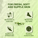 Himalaya Herbals Aloe Vera Refreshing Body Gel | Grocsy