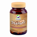 Organic Wellness Shallaki Capsules
