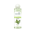 Biotique Bio Basil & Parsley Revitalizing Body Wash | Grocsy