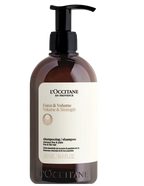 L'Occitane Volume & Strength Shampoo | Grocsy