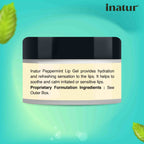 Inatur Peppermint Lip Gel | Grocsy