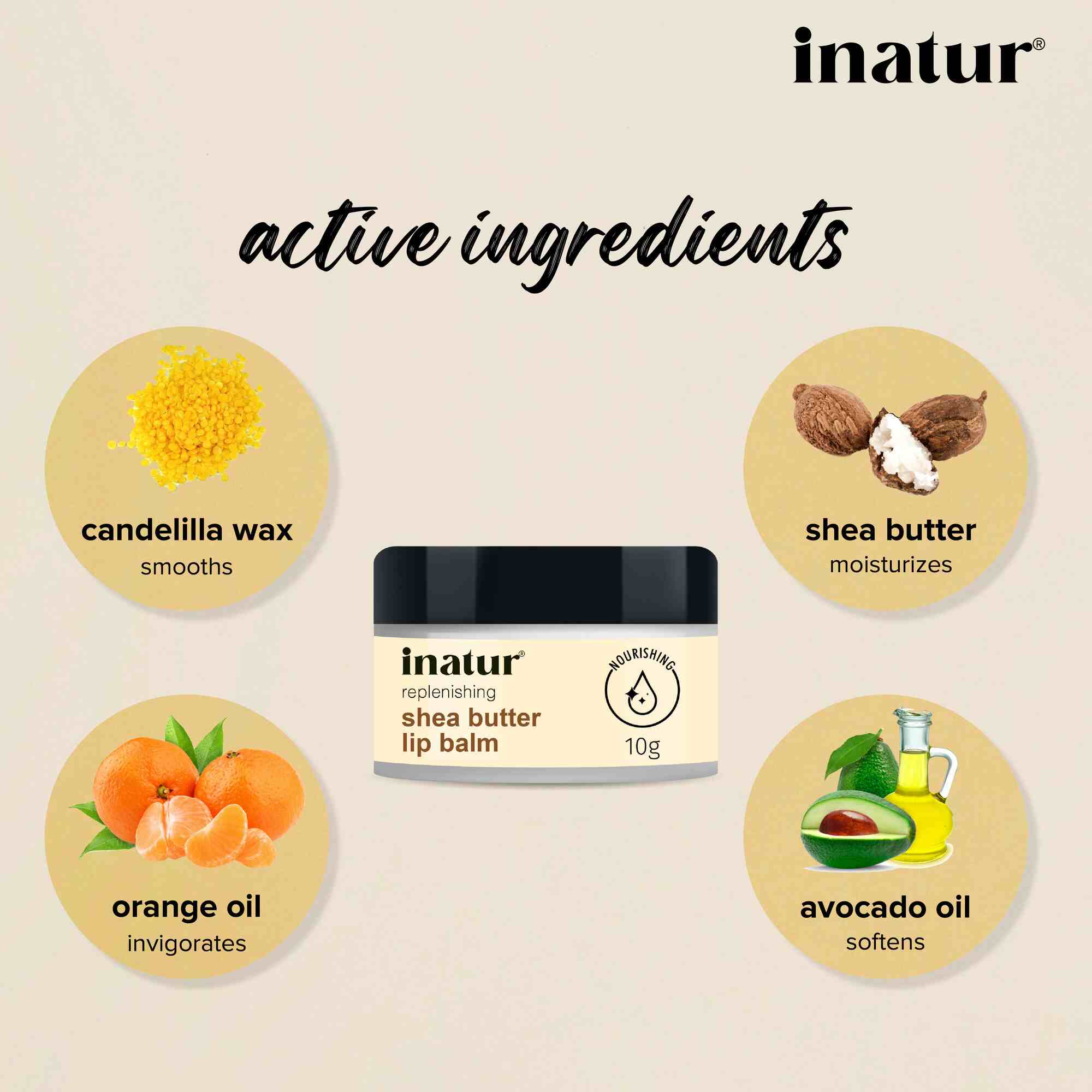 Inatur Shea Butter Lip Balm | Grocsy