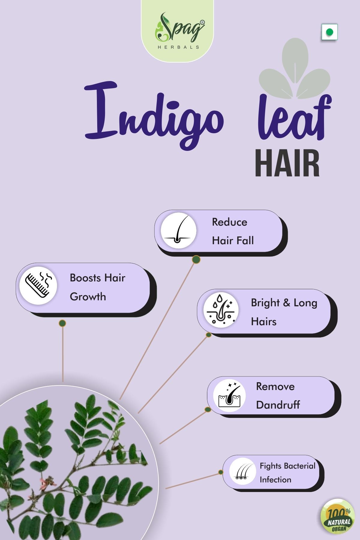Spag Herbals Premium Indigo Powder | Grocsy