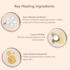 VedicDerm Oleander's Oil for Psoriasis, Eczema, and Atopic Dermatitis | Grocsy