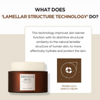 SKIN1004 Madagascar Centella Probio-Cica Enrich Cream | Grocsy