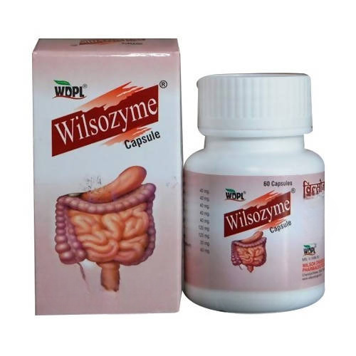 Wilson Wilsozyme Capsule | Grocsy