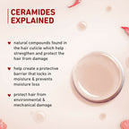 Plum Hibiscus & Ceramides Shampoo For Long, Healthy Hair | Grocsy