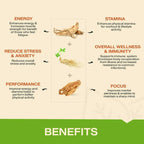 MyFitFuel Ginseng+ Triple Strength Capsules
