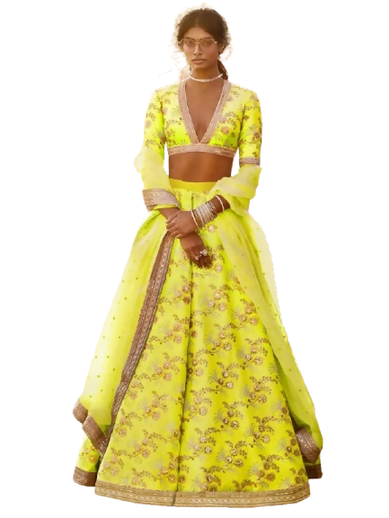 Tulsi Art Neon Embroidery Thai Silk Bridal Lehenga Choli | Grocsy