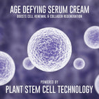 Dermafique Age Defying Serum Cream | Grocsy