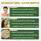 Mystiq Living Dried Rosemary Leaves for Hair Growth | Grocsy
