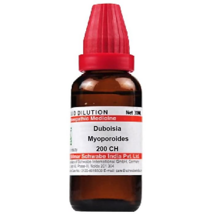 Dr. Willmar Schwabe India Duboisia Myoporoides Dilution | Grocsy