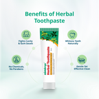 Mintdrops Herbal Toothpaste | Grocsy