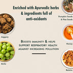 Baidyanath Vansaar Ayuprash Immunity Booster | Grocsy