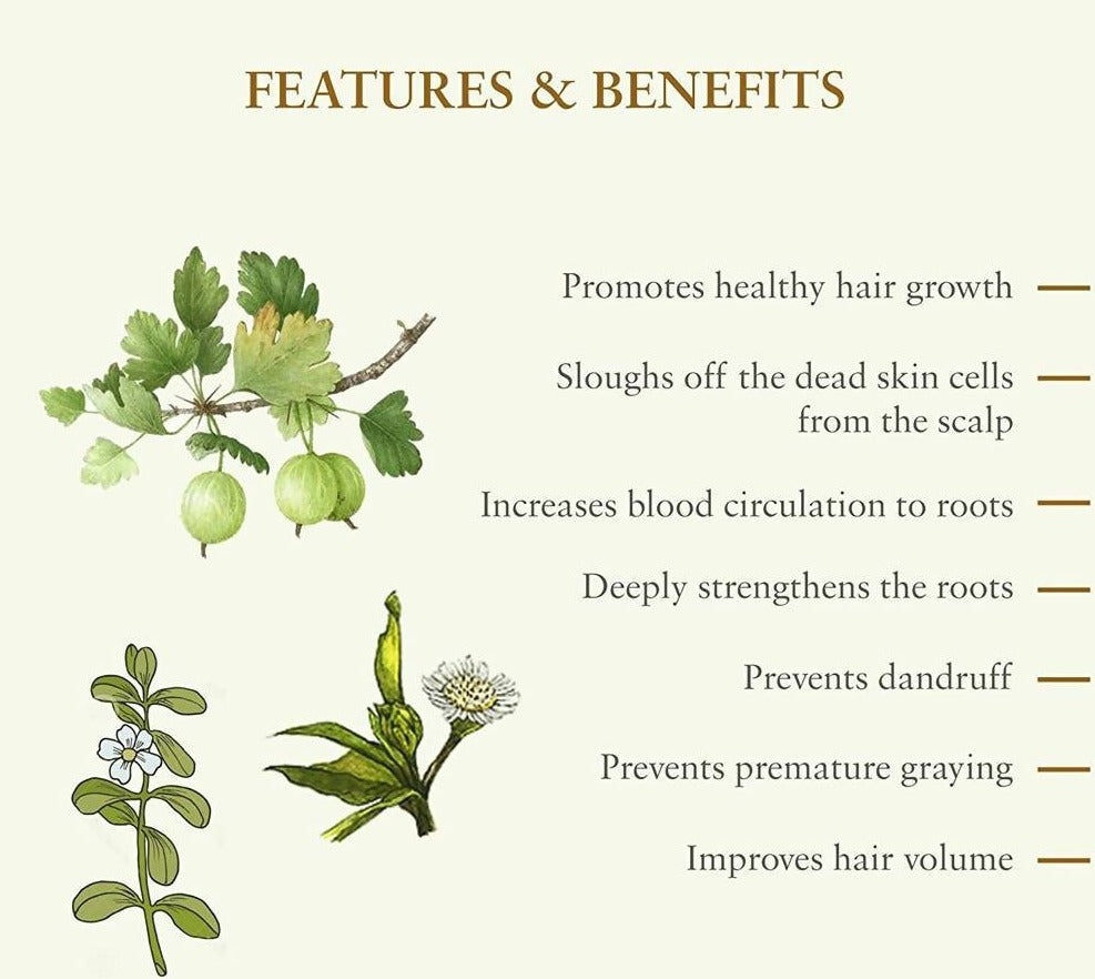 Just Herbs Bhringraj Hair Oil | Grocsy
