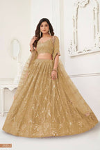 Aastha Fashion Chiku Butterfly Net Tone To Tone Thread Work, Sequence Work And Original Mirror Work Embroidery Wedding Wear Lehenga Choli | Grocsy