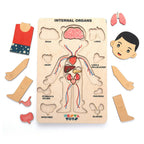 Nesta Toys Human Body | Internal Organs Wooden Puzzle | Grocsy